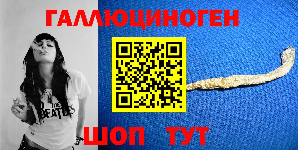 Галлюциногенные грибы Psilocybine cubensis Фролово