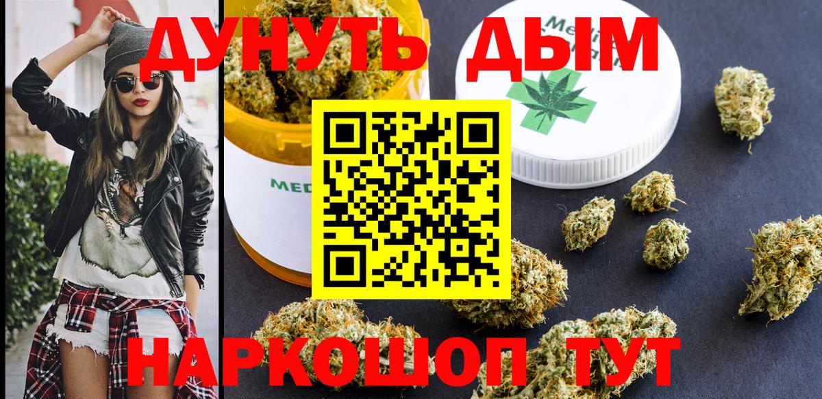 Конопля сатива Фролово